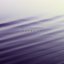 Cohesion
