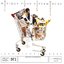 Music For Supermarkets