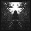 Parallel Lines (BAILE Remix)