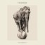 Vespers, Tracks 1-4