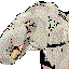 Avatar for iisforivan