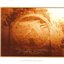 Selected Ambient Works, Volume II [CD2]