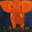 Elephant and a barbar