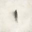 False Readings On