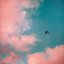 The Cotton Candy Creamery