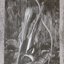 To Whatever End / Enslaved In Evil Darkness (Split)