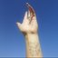 Note To Self (feat. Empress Of) [Rostam Remix]