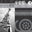 Shortwave Younglove Kingdom