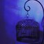 Caged