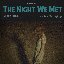 The Night We Met