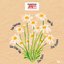 60s Rock Bouquet Vol 1
