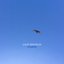 Soaring