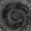 sonorous