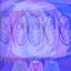 Mix (8/21/2025)