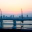 Sunset Drive