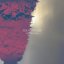 Origin # 04