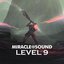 Level 9