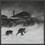 Prosaic Materialists / Rudimentary Bodies EP