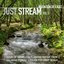 Just Stream Vol 3: 1 Hour of Seamless Flowing Water from a Calming Forest Stream for Deep Sleep