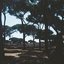 Atlas Fugged - Single