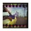 Feel My Funk [Explicit]