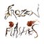 Frozen Flashes
