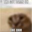 deez nuts