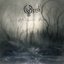 Black Water Park