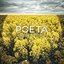 Golden Fields