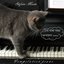 A cat playing