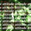 Attitude