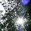 Light of Day