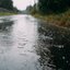 Steady Rain Ambience