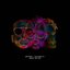 Best of Me (Radio Edit)