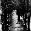 Suicidio In Una Foresta Dimenticata