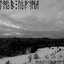 Заревом солнцеворота