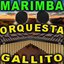 12 Exitos Marimberos