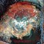 Septicity