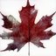 Oh Canada