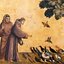 The Flowers of St. Francis