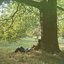 Plastic Ono Band - 2010 Remaster