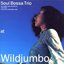 at WILDJUMBO