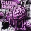 Cracking Brains