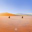 Insight Out