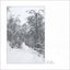 Neuschnee