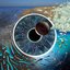 Pulse (2 of 2)