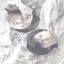 Legend Of Twins I -双子伝説-