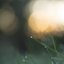 Stillpoint
