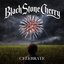 Celebrate [Explicit]