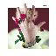 bloom (Deluxe)